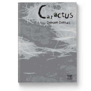 Caractus de Damien Dantès