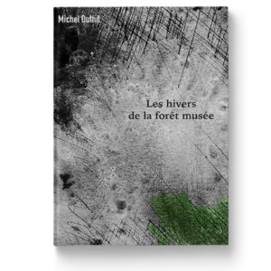 Les hivers de la forêt musée de Michel Duthil